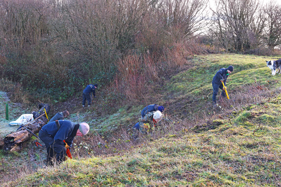 Volunteers at a work party